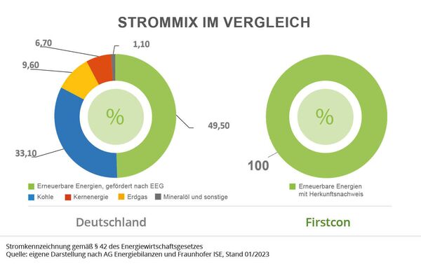 Schaubild das den Aufbau des Strommix verdeutlicht.